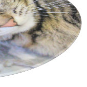 タイガー カッティングボード (角)