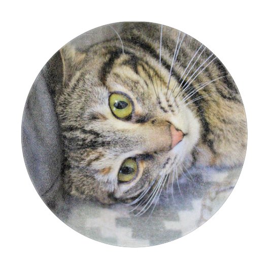 タイガー カッティングボード (正面)