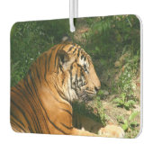 タイガー カーエアーフレッシュナー (左)