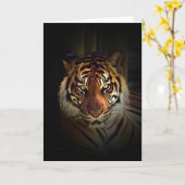 タイガー カード (黄色い花)