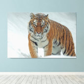 タイガー キャンバスプリント (インサイチュ (ウッドフロア))