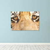 タイガー キャンバスプリント (インサイチュ (ウッドフロア))