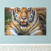 タイガー キャンバスプリント (インサイチュ (ウッドフロア))