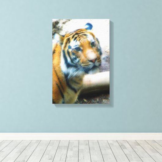 タイガー キャンバスプリント (インサイチュ (ウッドフロア))