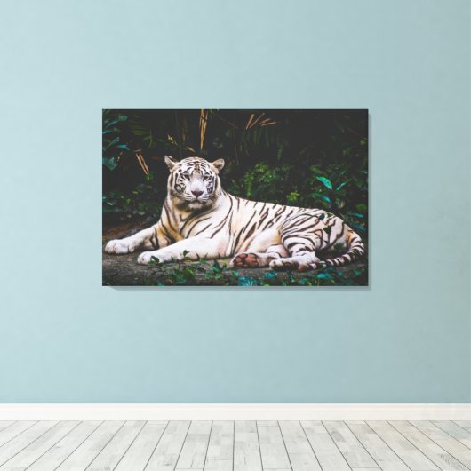 タイガー キャンバスプリント (インサイチュ (ウッドフロア))