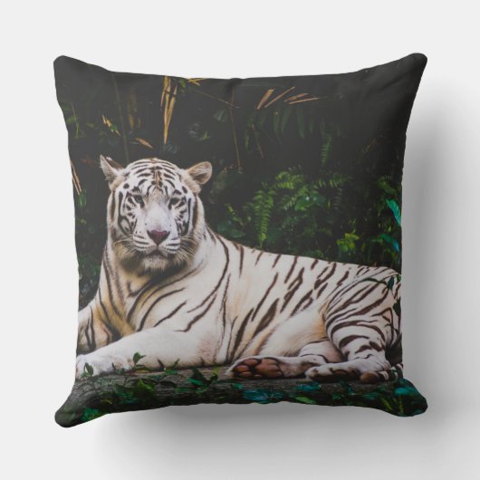 タイガー クッション (裏面)