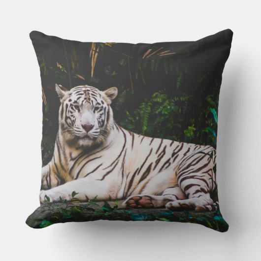 タイガー クッション (正面)