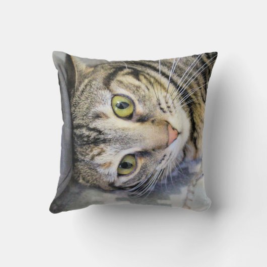 タイガー クッション (裏面)