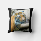 タイガー クッション (裏面)