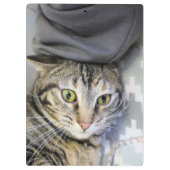 タイガー クリップボード (裏面)