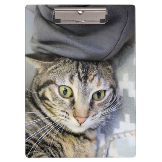 タイガー クリップボード (正面)