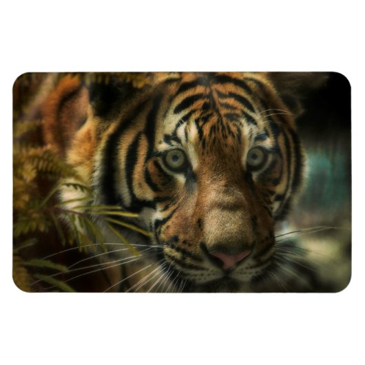 タイガー・グラウンド・ゼロ マグネット (横)