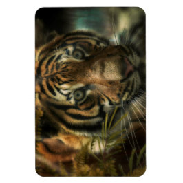 タイガー・グラウンド・ゼロ マグネット