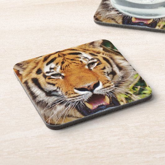 タイガー コースター (左側)