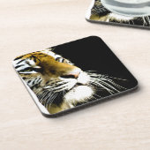 タイガー コースター (左側)