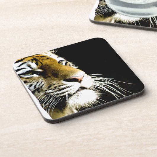 タイガー コースター (左側)