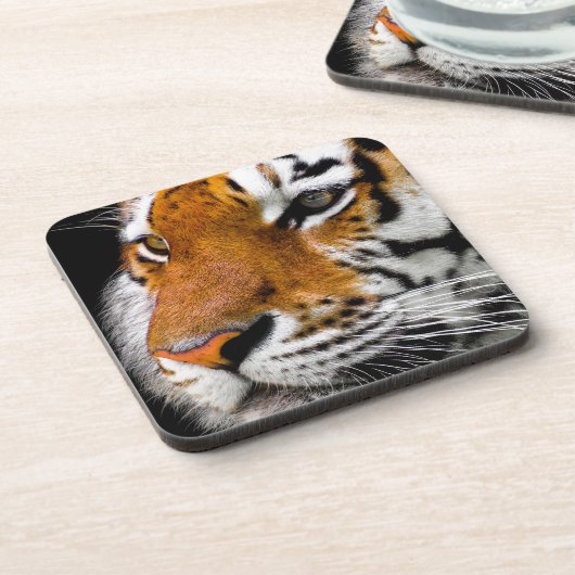 タイガー コースター (左側)