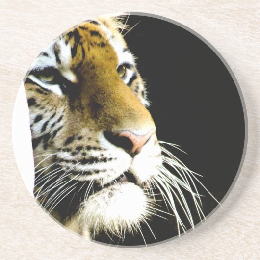 タイガー コースター (正面)