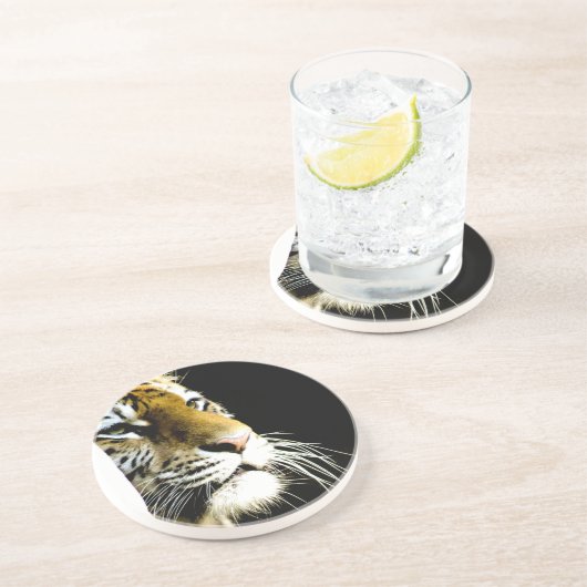 タイガー コースター (側面)