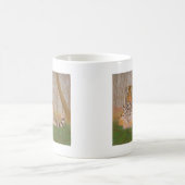 タイガー コーヒーマグカップ (中央)