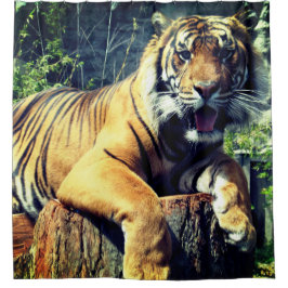 タイガー シャワーカーテン