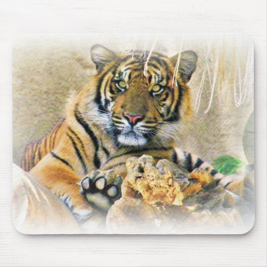 タイガー、シーク_ マウスパッド (正面)