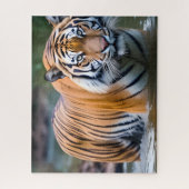 タイガー ジグソーパズル (縦)