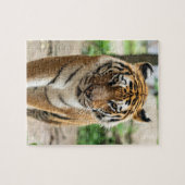 タイガー ジグソーパズル (横)