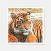 タイガー スタンダードカクテルナプキン (正面)