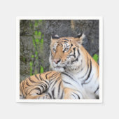 タイガー スタンダードカクテルナプキン (正面)