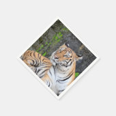 タイガー スタンダードカクテルナプキン (角)