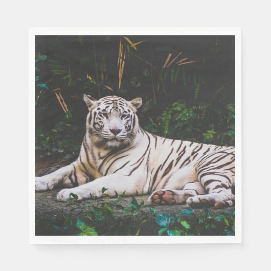 タイガー スタンダードランチョンナプキン (正面)