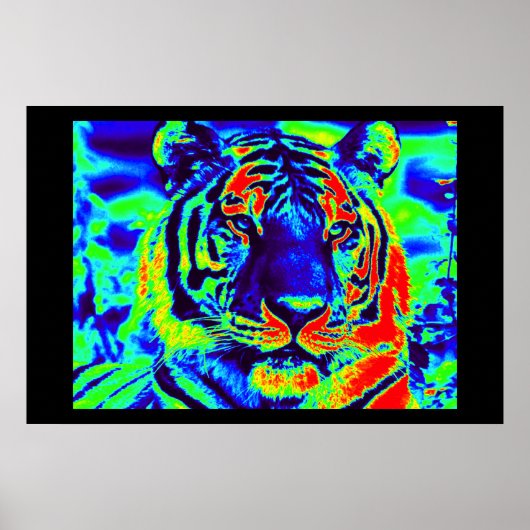 タイガー・スピリット ポスター (正面)