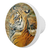 タイガー セラミックノブ (右)