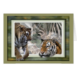 タイガー、ゼブラ、キリン、恋人への贈り物