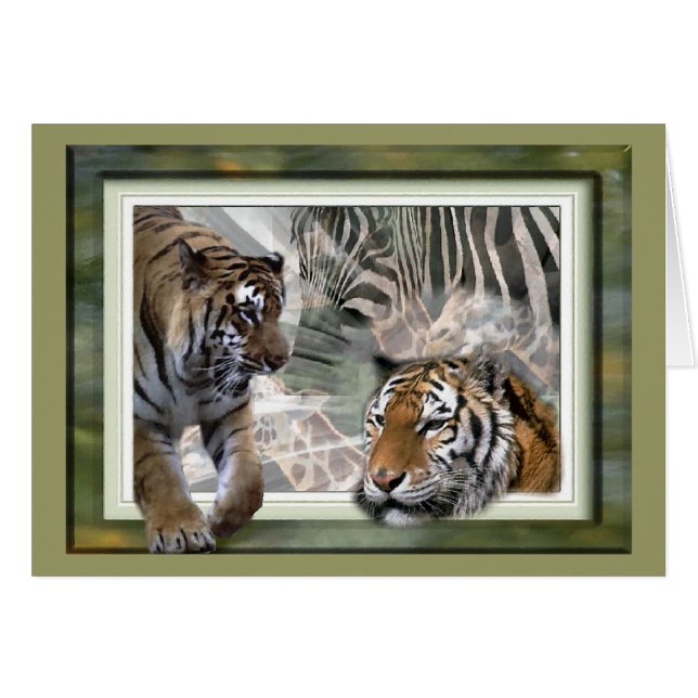 タイガー、ゼブラ、キリン、恋人への贈り物 (正面横)
