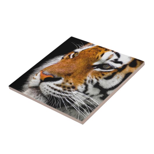 タイガー タイル (側面)