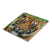 タイガー タイル (側面)