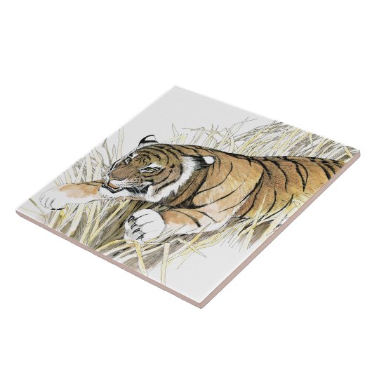 タイガー タイル (側面)