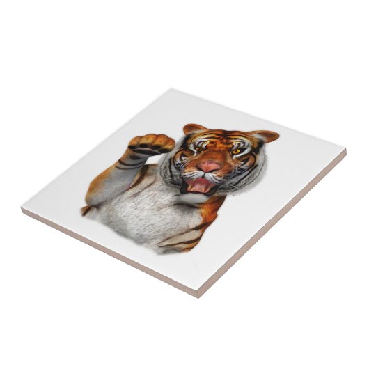 タイガー タイル (側面)