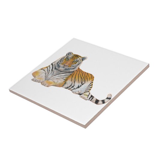 タイガー タイル (側面)