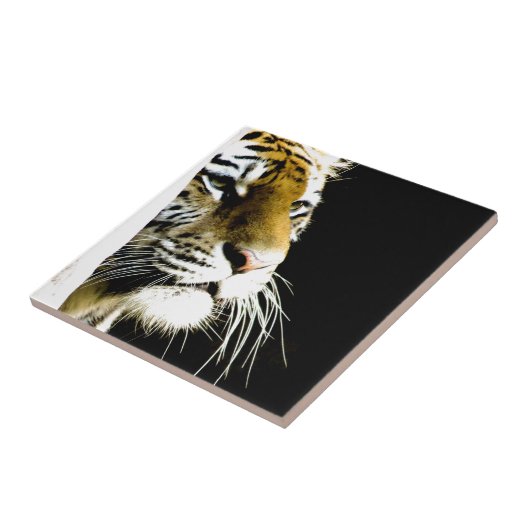 タイガー タイル (側面)