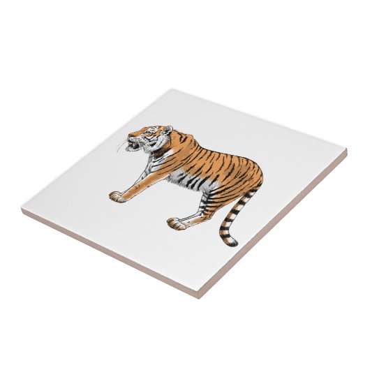 タイガー タイル (側面)