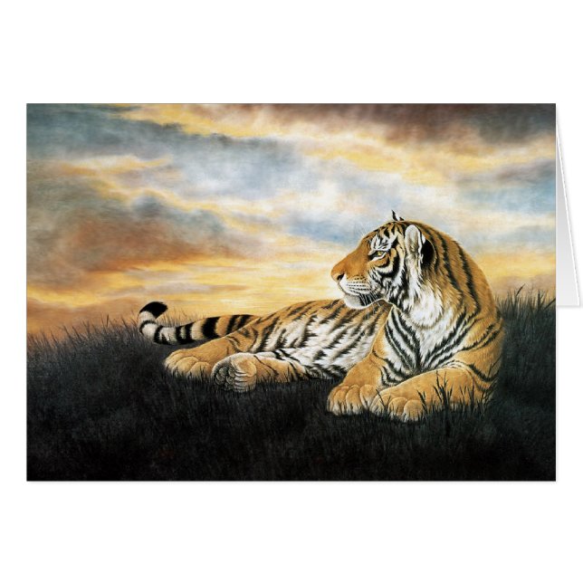 タイガー・ドーン (正面横)