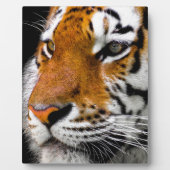 タイガー フォトプラーク (正面)