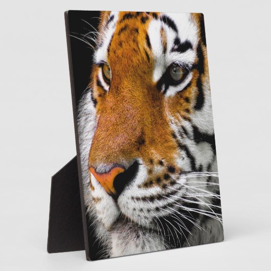 タイガー フォトプラーク (側面)