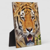 タイガー フォトプラーク (側面)