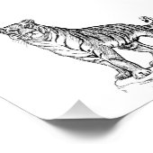 タイガー フォトプリント            (角)