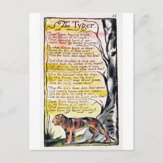 「タイガー」、プレート36 (Bentley 42) ポストカード (正面)