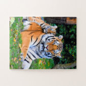 タイガー&ベビーが草の中で美しくポーズを取り合う ジグソーパズル (横)